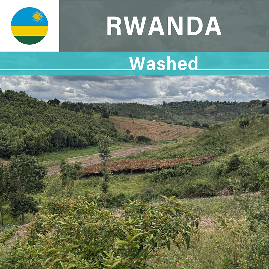 Rwanda Dahwe A1 Washed(24/25年クロップ) | ORIGIN COUNTRIES